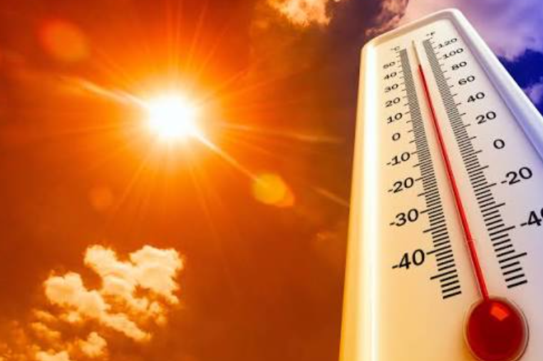 Lavorare sotto il caldo estremo: prevenzione e sicurezza per evitare tragedie sul posto di lavoro