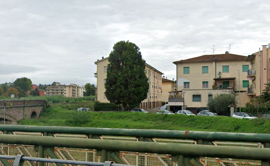 Certaldo: abbattuto il cipresso di Via  Martiri di Montemaggio nonostante la diffida