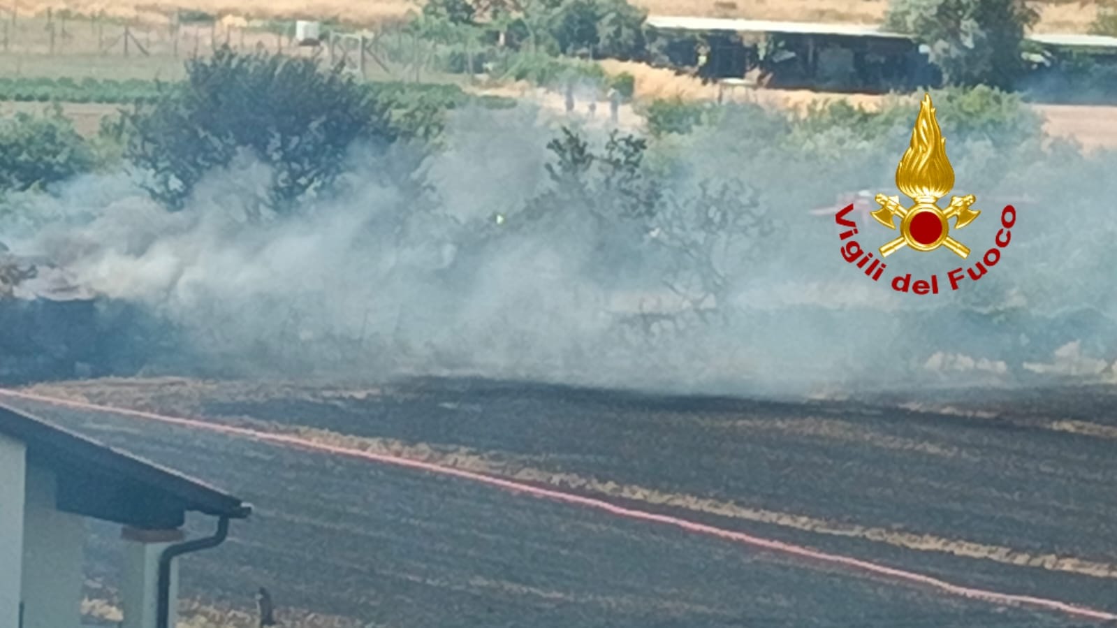 A fuoco campi di grano e sterpaglie in mezza Toscana: disagi alla circolazione dei treni della Firenze Pisa
