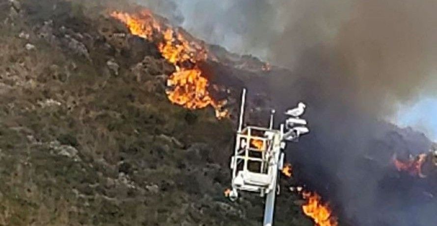 Incendio a Porto Ercole, fiamme vicino all’abitato e alla panoramica per Forte Filippo