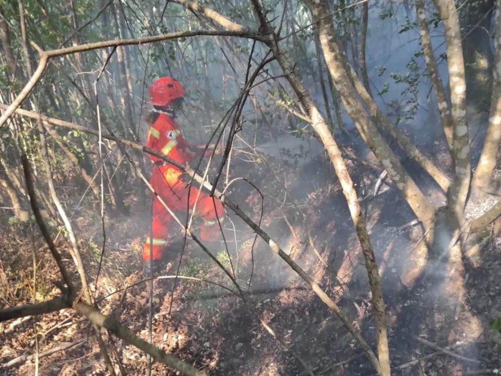 Oltre 100 ettari di bosco bruciati nell'incendio di Certaldo