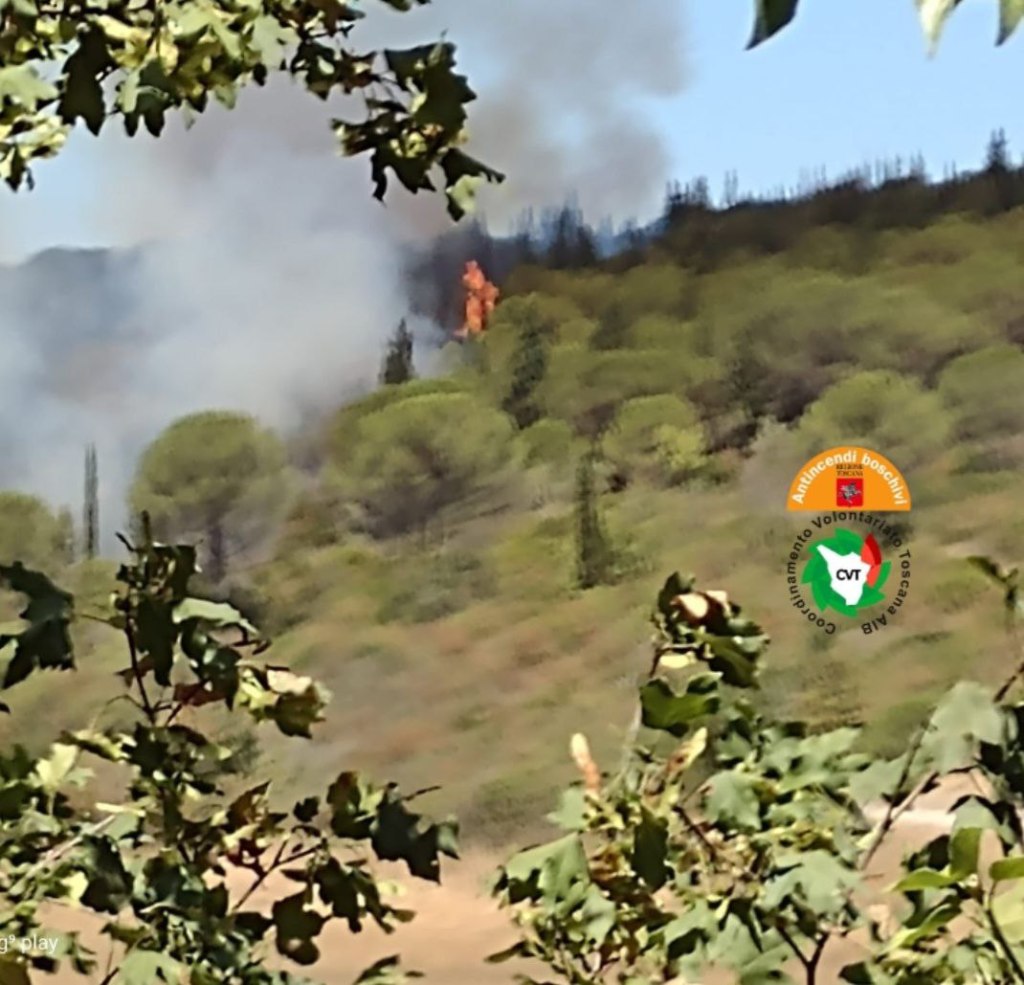 Chianti in fiamme, brucia la collina di Meleto