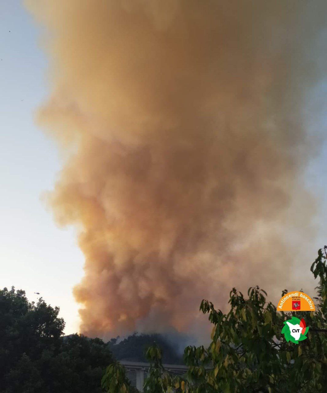 Brucia la Versilia, vasto incendio a Massarosa: evacuate dalle case 40 persone. Al lavoro vigili del fuoco da mezza Italia +++Aggiornamento+++