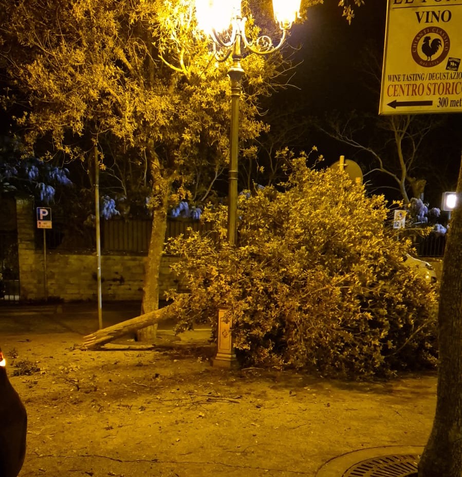 Schianta un albero e quasi finisce con l'auto nella fontana di Panzano