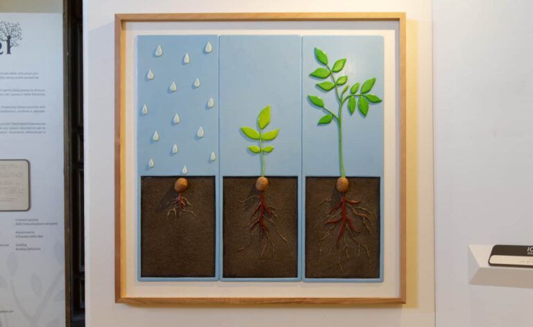 San Quirico, Storie sulle dita: alberi. A Palazzo Chigi mostra multisensoriale accessibile ai non vedenti