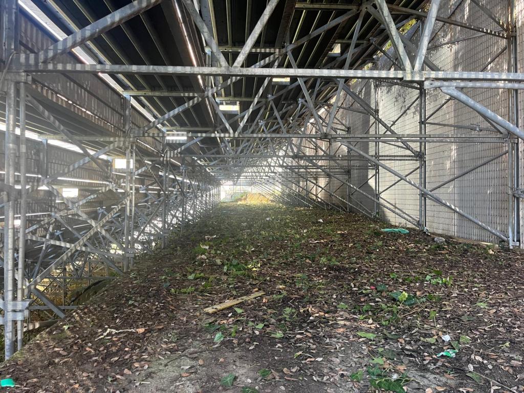 Siena, proseguono i lavori di pulizia allo stadio Franchi