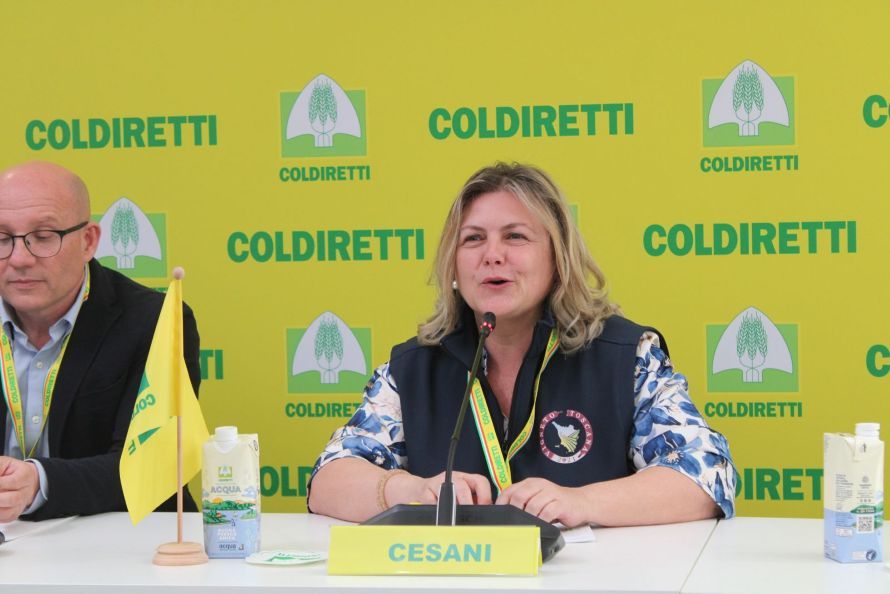 Dazi Usa, allarme Coldiretti Toscana: vino, olio e pecorino non graziati, export -31%