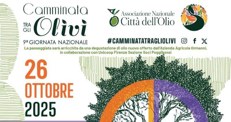 Camminata tra gli Olivi a Poggibonsi: itinerario tra chiese e vigne