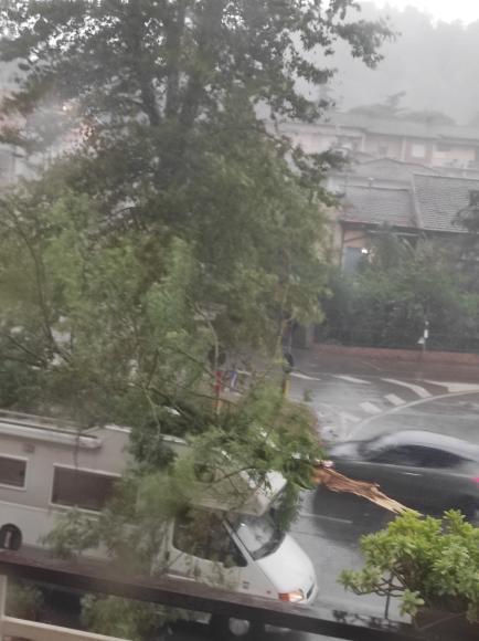 Albero si abbatte su camper in transito