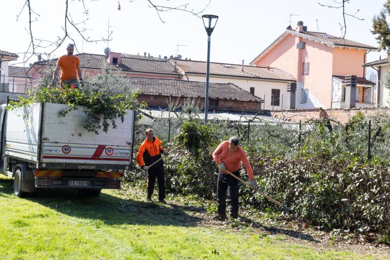 Empoli, verde pubblico, raddoppiate risorse per interventi su alberi e piante. In previsione un nuovo giardiniere