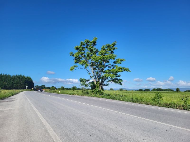 Colle di Val d&rsquo;Elsa, al via i lavori sulla Traversa Maremmana. Bezzini (Pd): &ldquo;Fondi della Regione Toscana, dal Governo zero risposte&rdquo;