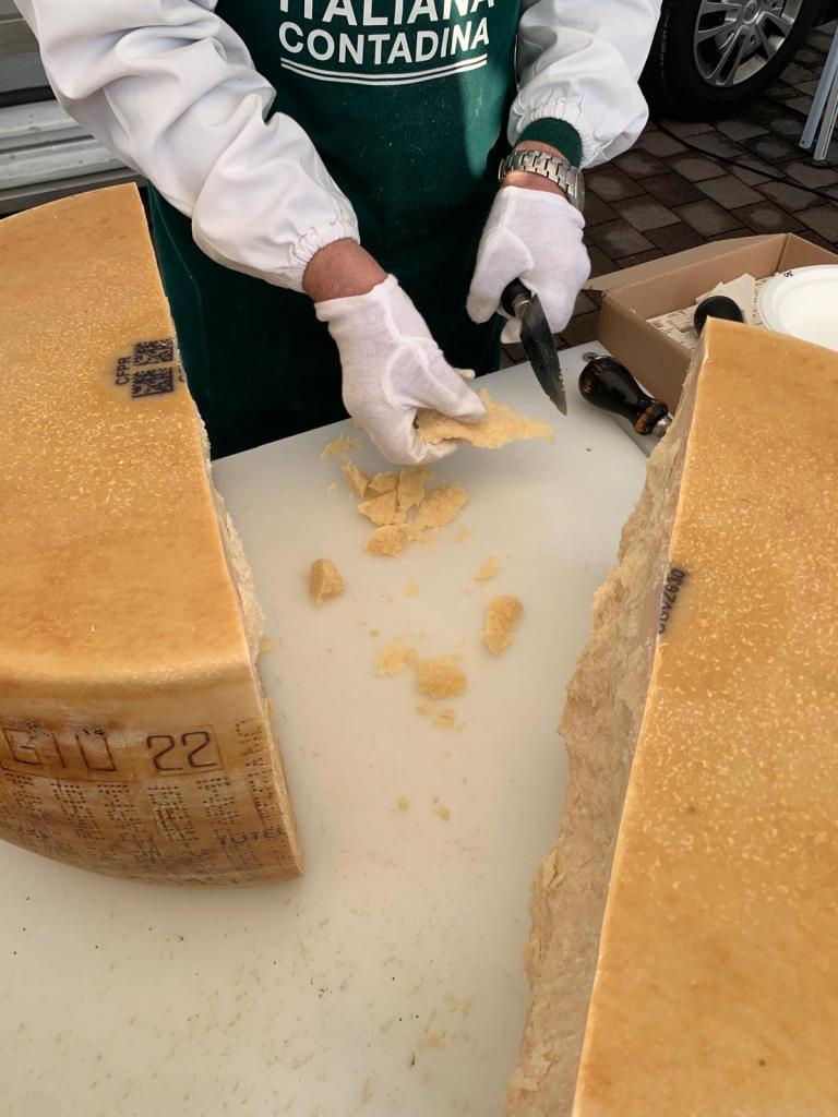 Si avvicina la primavera al “Mercatale in Empoli” con fiori, alberi da frutto, arbusti e molto altro da ‘gustare’