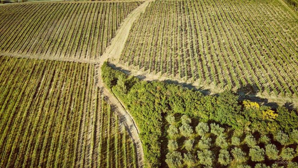A Montepulciano la sostenibilità è in campo