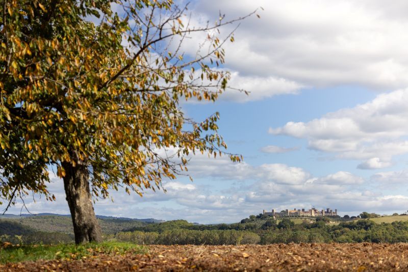 Monteriggioni, approvate le controdeduzioni alle osservazioni al Piano Strutturale ed al Piano Operativo
