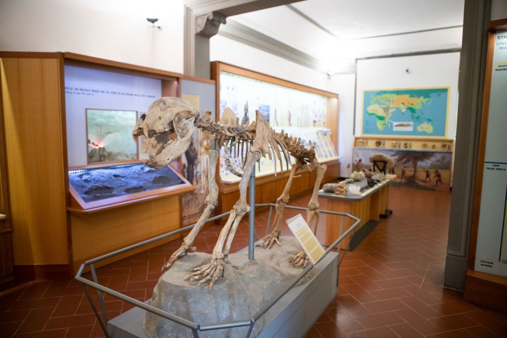 Empoli, Famiglie al Museo, è tempo di 