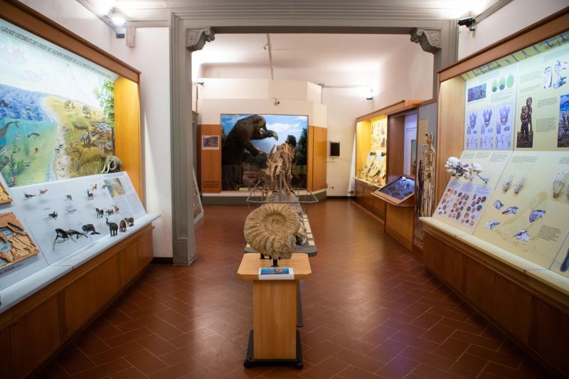 Musei di Empoli, da quest'anno aperture al pubblico per Casa Pontormo e il Museo Civico di Paleontologia