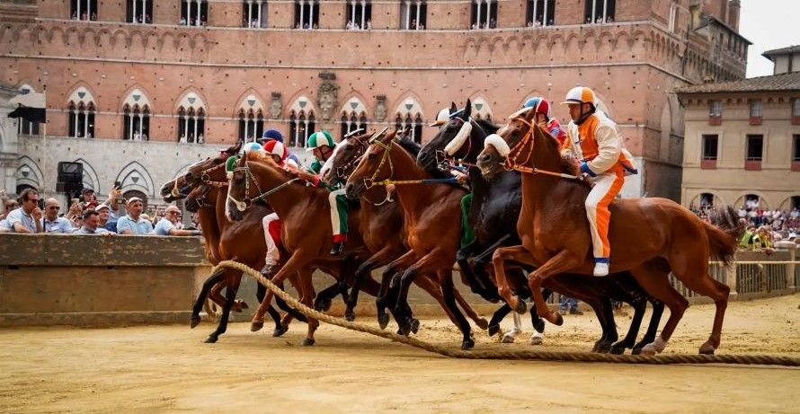Ecco gli 86 cavalli alle prove, 8 quelli che vanno alla tratta