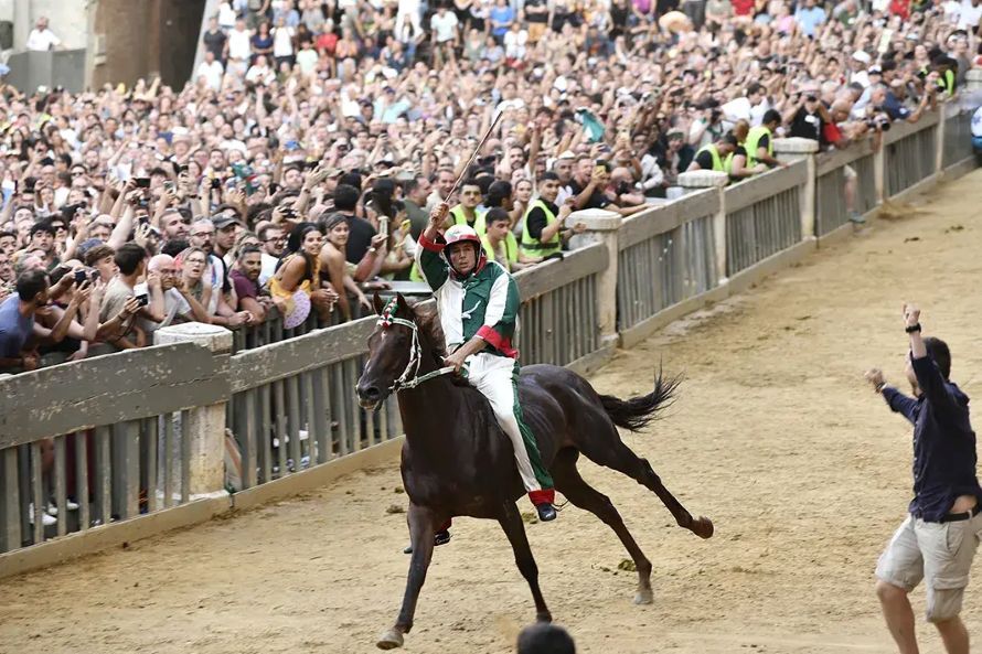 Palio del 16 agosto: i cavalli ammessi alla previsita