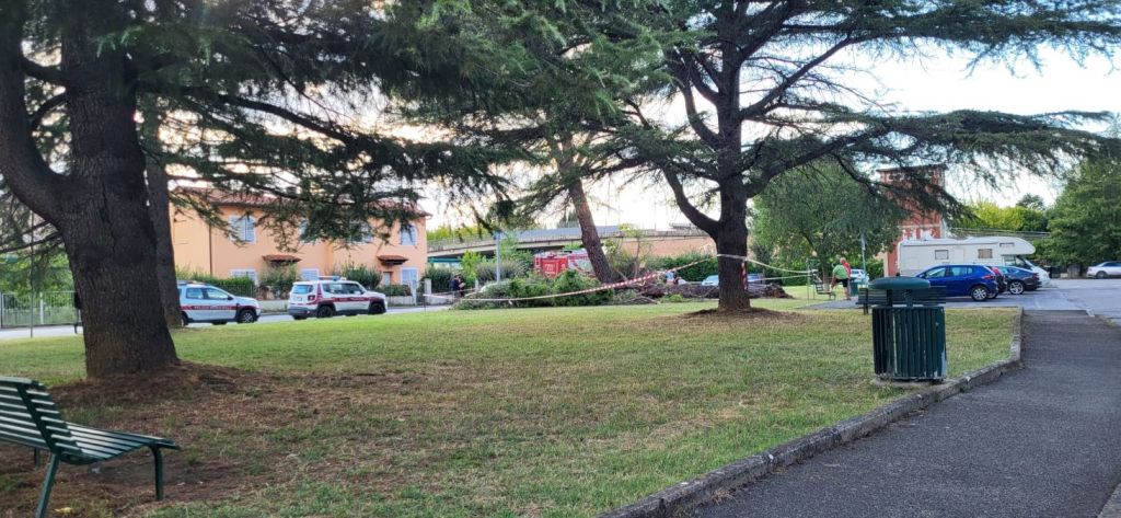 Crolla un pino nei giardini di Lappeto, sfiorate auto in sosta