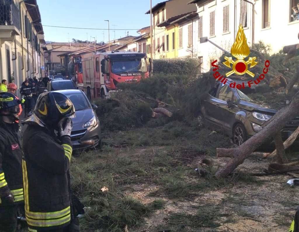 Pino crolla su auto e scooter, paura a Scandicci