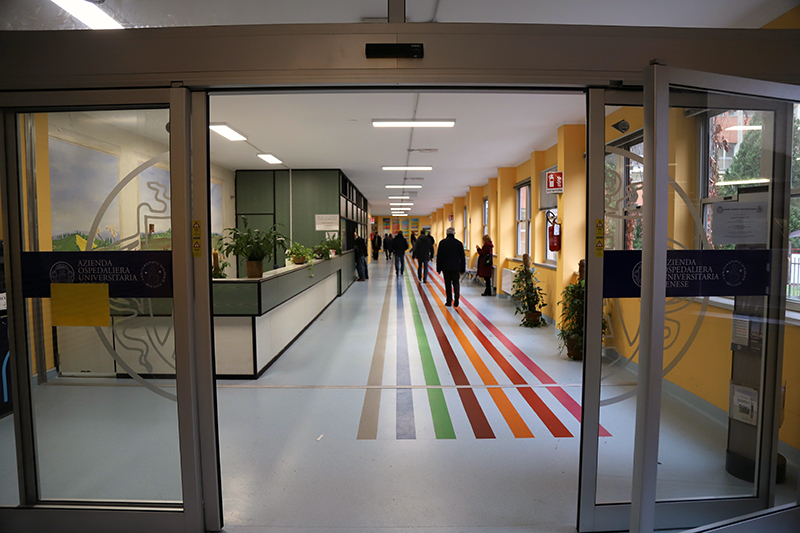 Open Day Osteoporosi: visite e densitometrie ossee gratuite all’Aou Senese. Prestazioni disponibili fino ad esaurimento posti