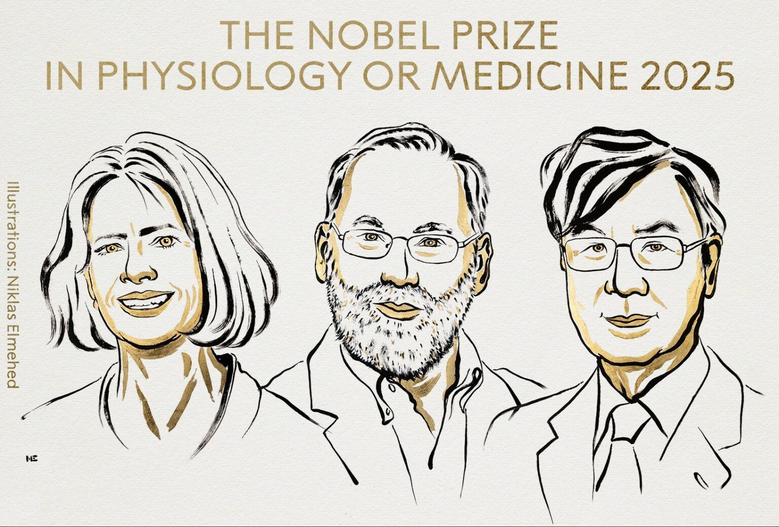Il Nobel per la medicina 2025 a chi ha scoperto i ‘guardiani’ del nostro sistema immunitario
