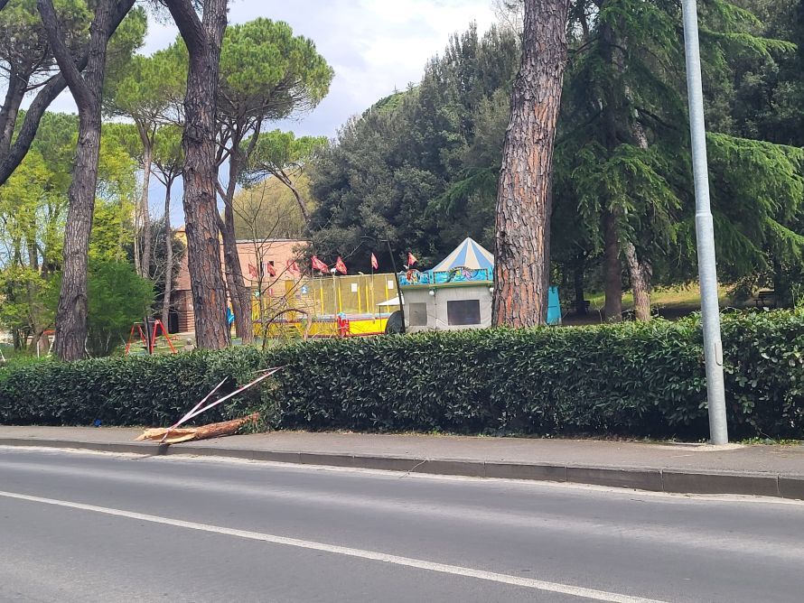 Paura al Vallone: cade un grosso ramo in via di Fortezza Medicea. Era gi&agrave; successo