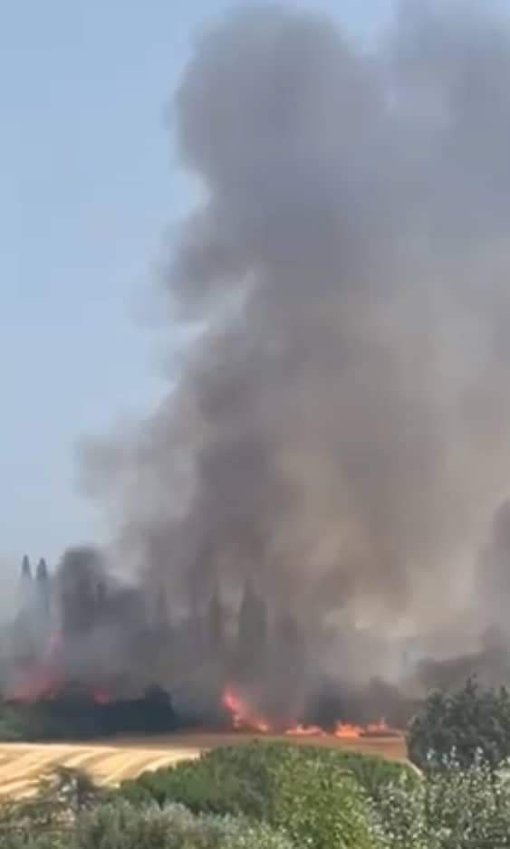 Incendio nella zona tra Strozzavolpe e i Carfini a Poggibonsi (Video e foto) +++ Aggiornamento: chiusa la strada per Talciona La Strolla +++