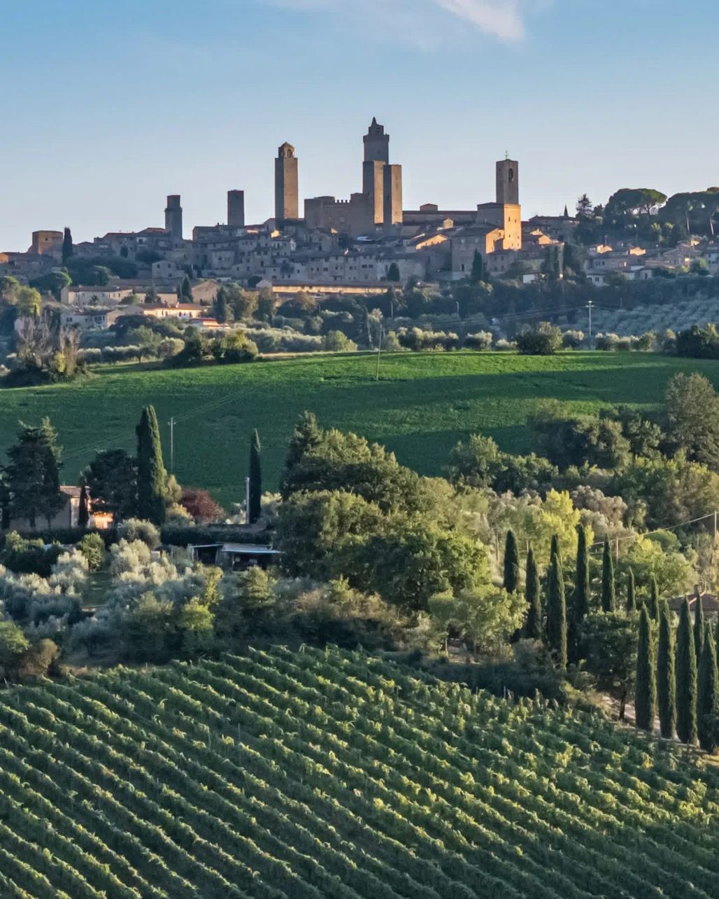 A San Gimignano la presentazione del XXI Rapporto dell&rsquo;Osservatorio Nazionale del Turismo del Vino