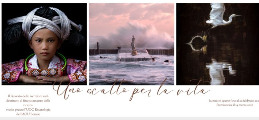 &ldquo;Uno scatto per la vita&rdquo;: torna il concorso fotografico nazionale di Siena Grosseto Ail