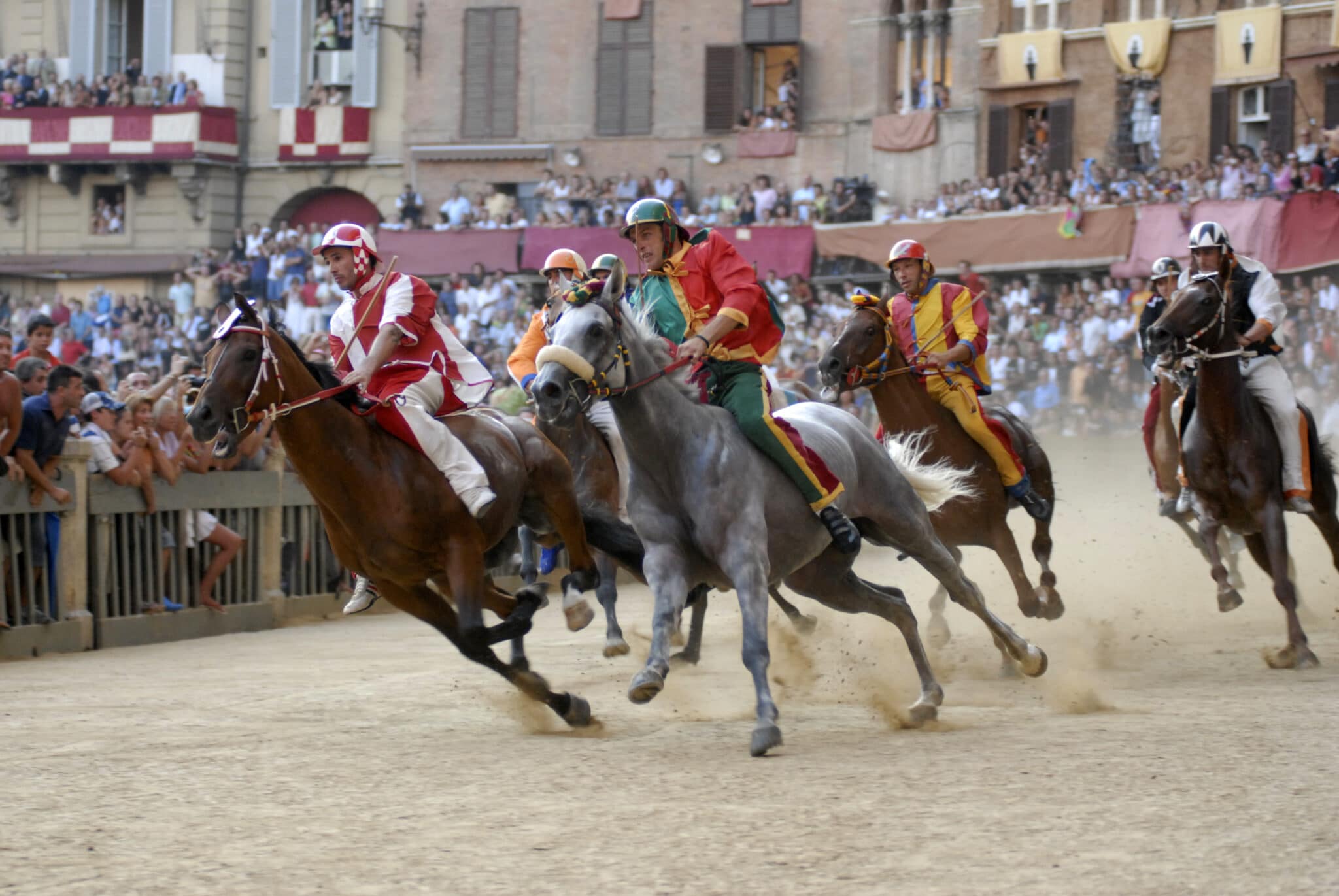 Quali sono i cavalli più adatti al Palio di Siena? Lo spiega la scienza