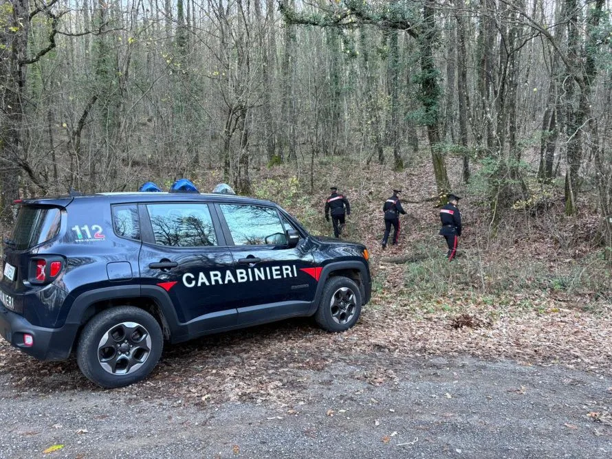 Smantellato a Trequanda un bivacco dello spaccio nei boschi di Elatera