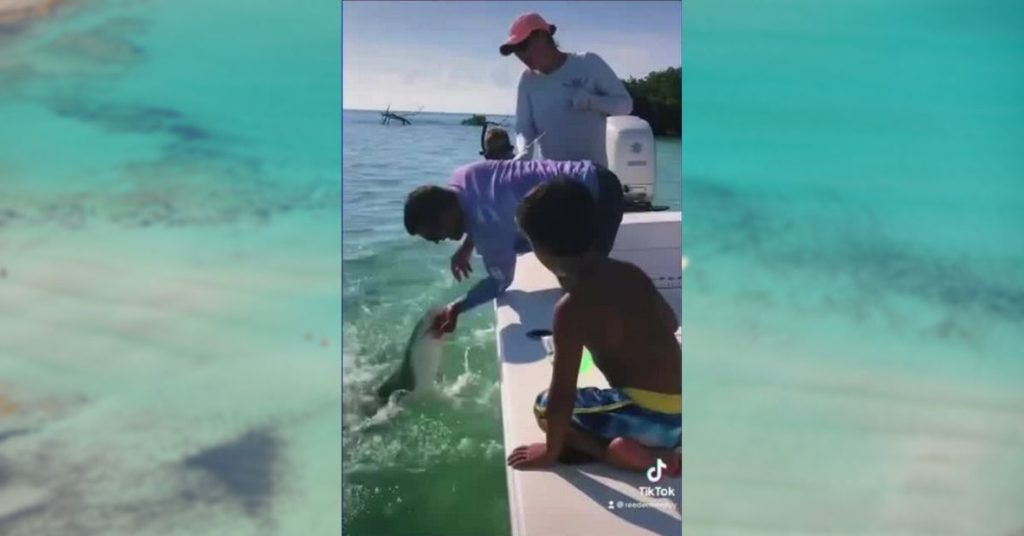 Florida, squalo morde un pescatore: il video fa il giro del mondo
