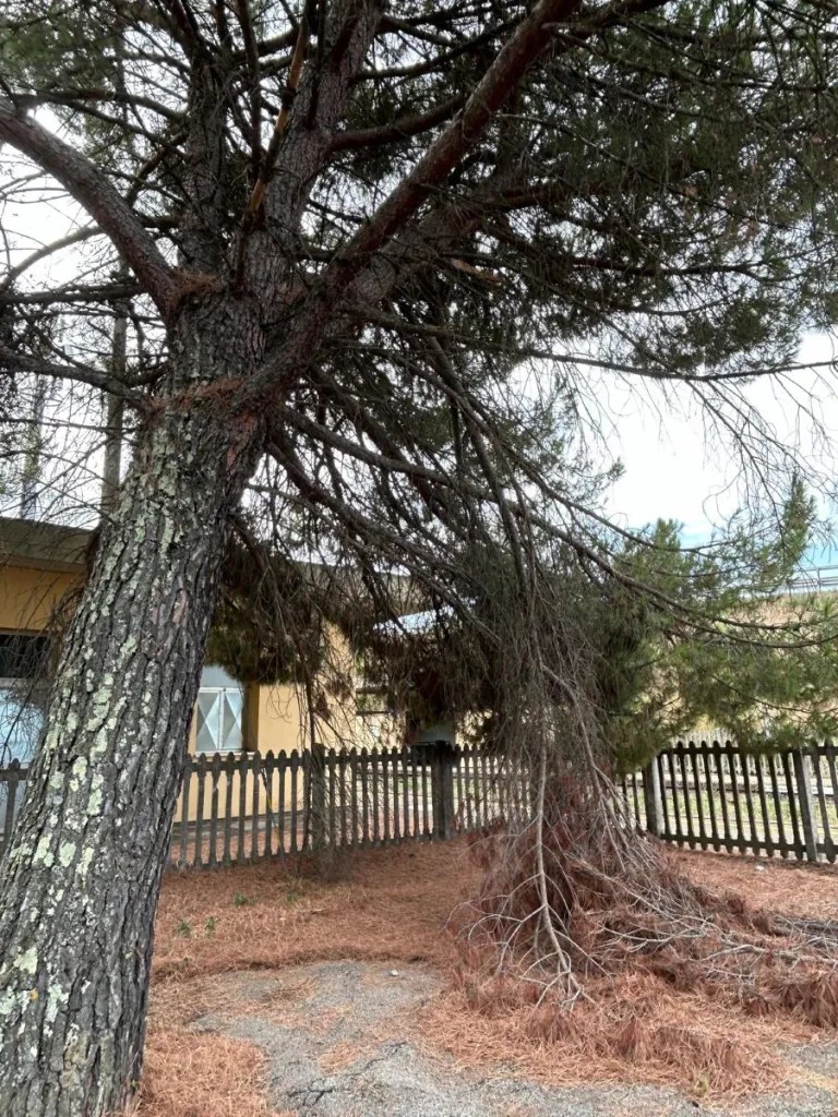 Alla stazione della Zambra non c'è cura, la rabbia degli abitanti