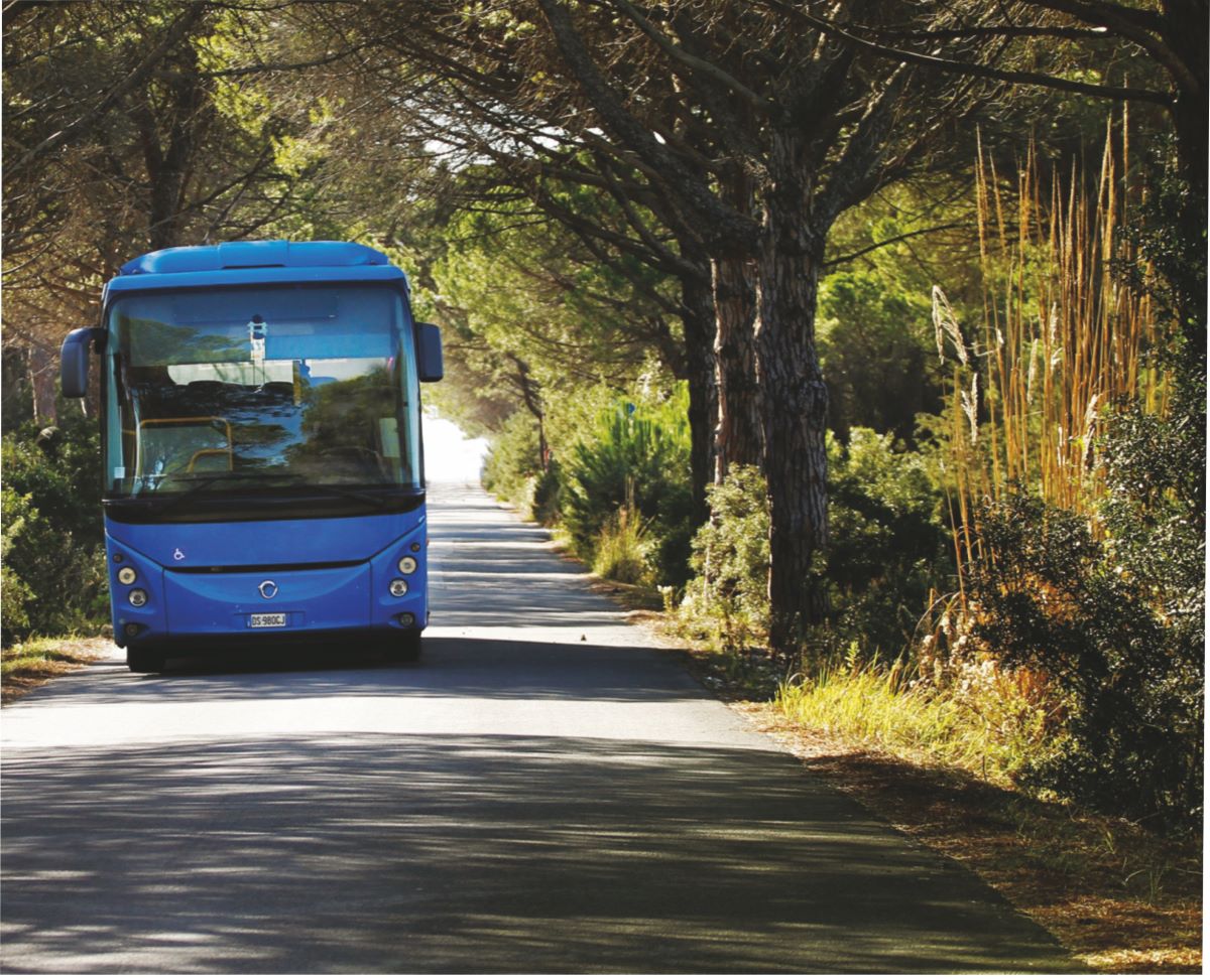 Tiemme verso il mare,  dal 15 giugno partono gli autobus da Siena, Colle e Poggibonsi