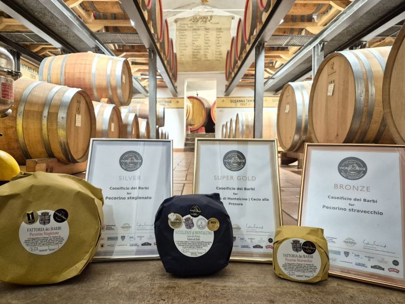 Il Caseificio dei Barbi sul podio ai World Cheese Awards 2025: Super Gold, Argento e Bronzo per i pecorini di Montalcino