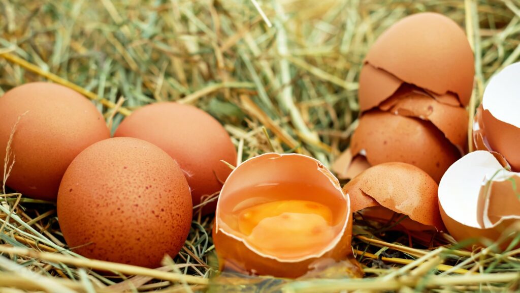 Uova a rischio salmonella: richiamati diversi marchi dai supermercati