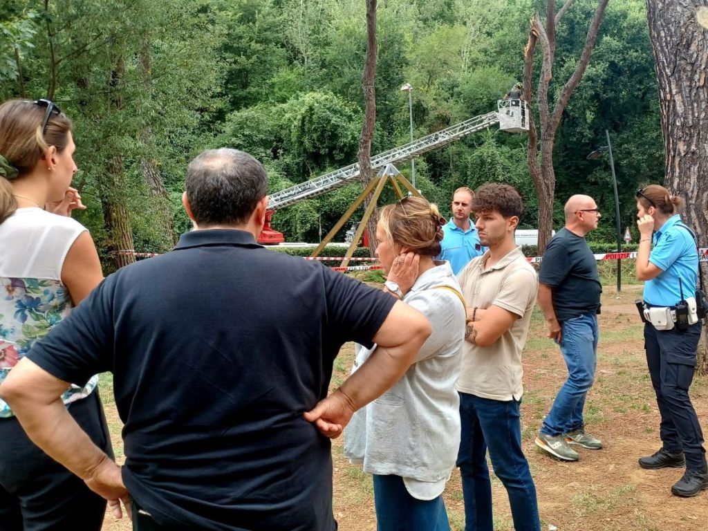 Chiuso il parco del Vallone per verifiche. Cenni: Graduale sostituzione dei pini