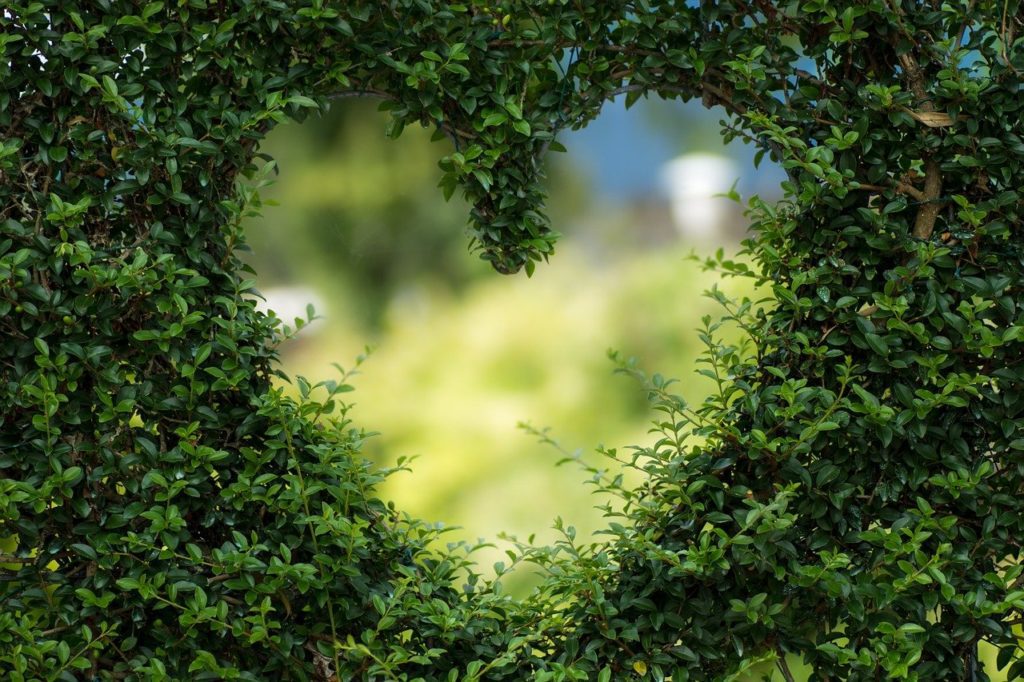 Al via la settimana verde di Ami, l’Italia si colora di verde per celebrare la Terra
