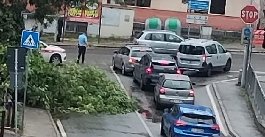 Cade un ramo a Poggibonsi, disagi in via Santa Caterina