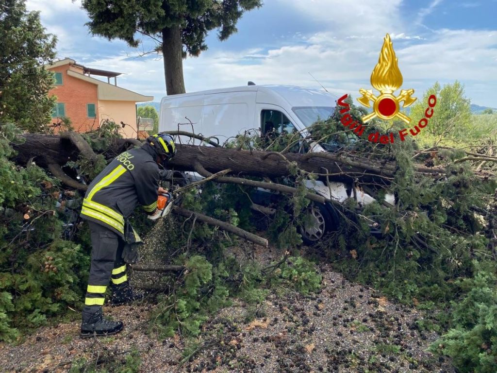 Albero si abbatte su furgoncino a Empoli