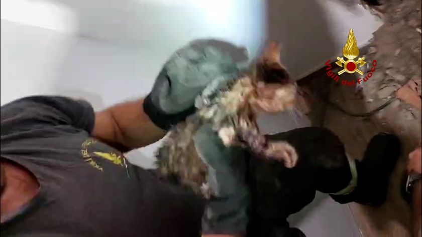 Gattino dentro un tubo, salvato e adottato
