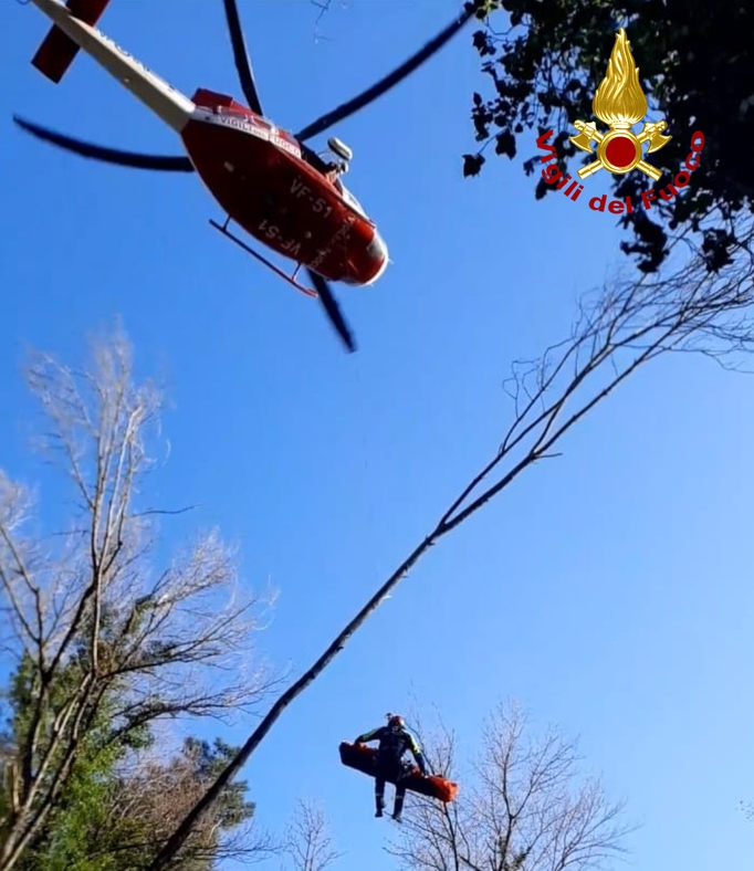 Cade in un dirupo nel bosco, salvato dai vigili del fuoco