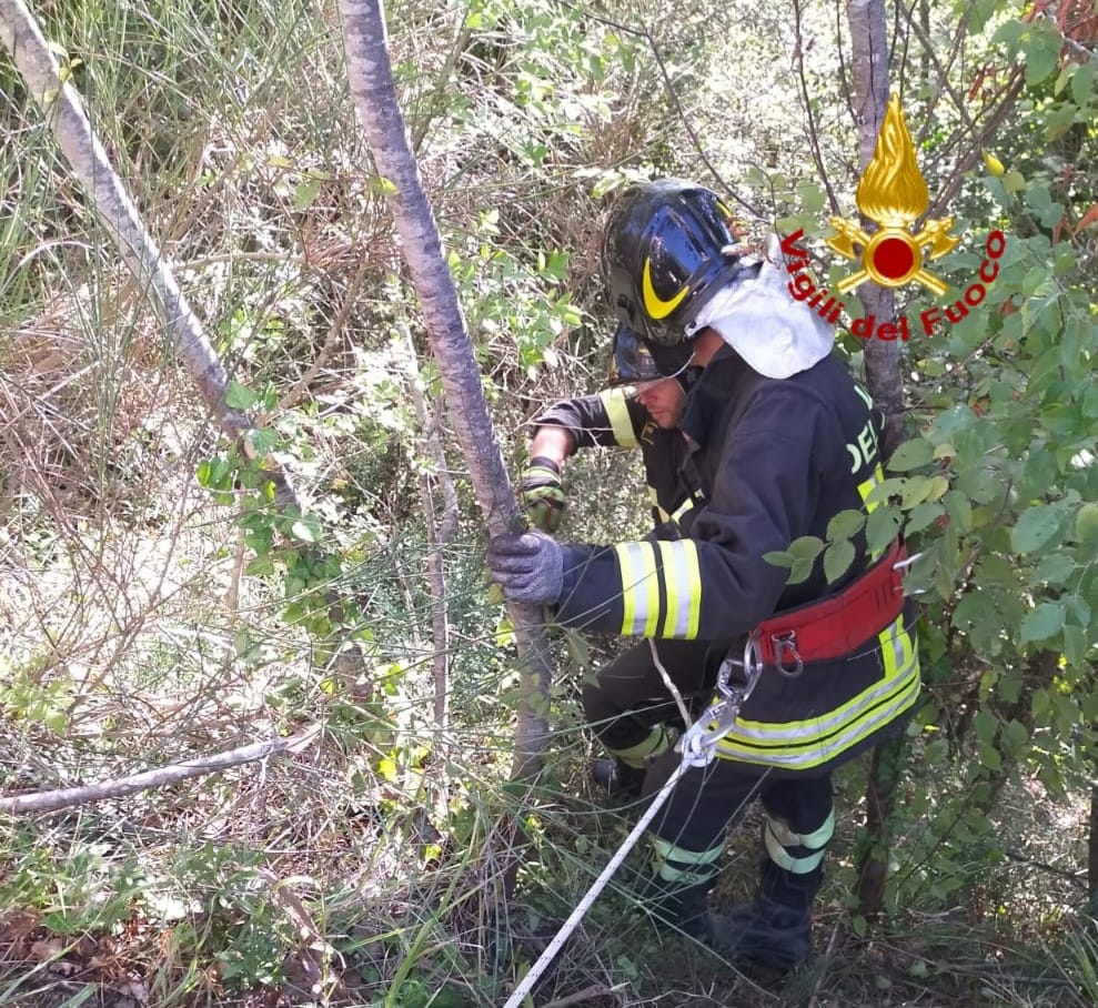 Gravissima 66enne finita nella scarpata a Gaiole