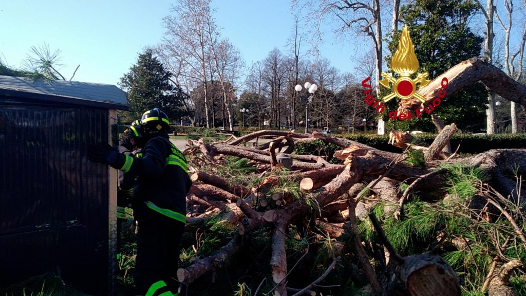 Albero si abbatte sul luna park delle Cascine